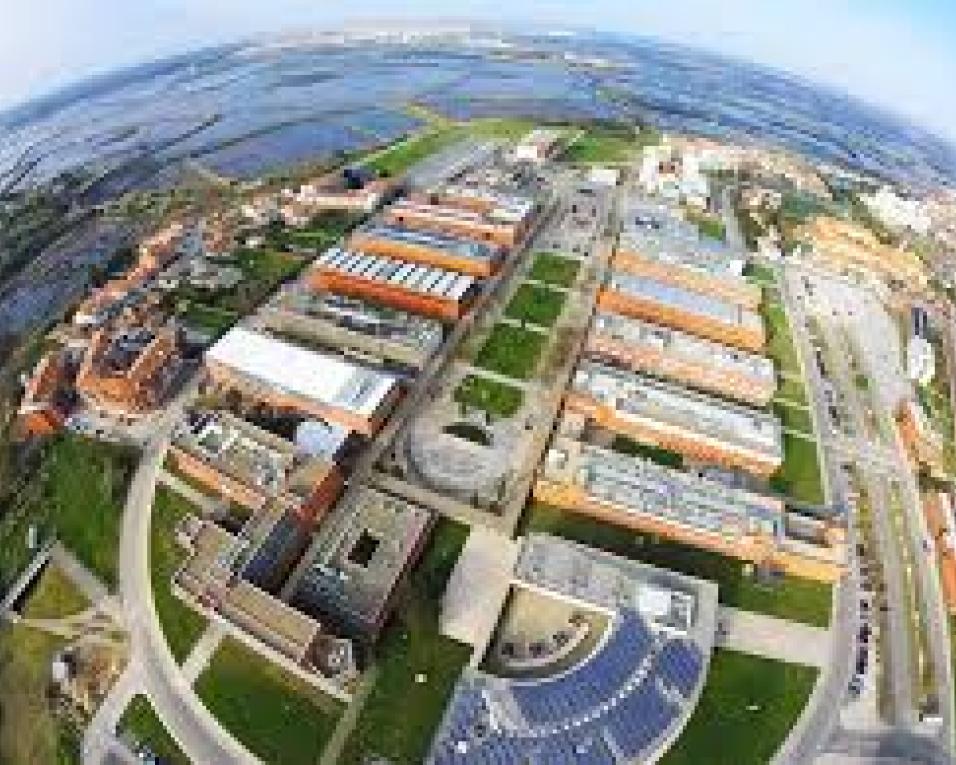 Alunos de Engenharia e Gestão Industrial de Aveiro apresentam ideias para a economia circular e neutralidade carbónica.
