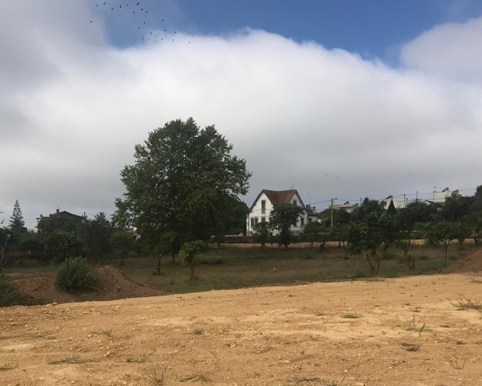 Um novo parque de lazer vai nascer em Alquerubim.