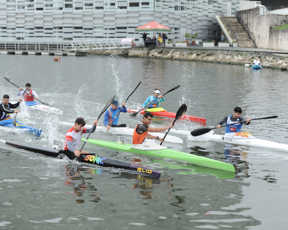 Aveiro: Canoagem regressa aos canais urbanos no domingo.