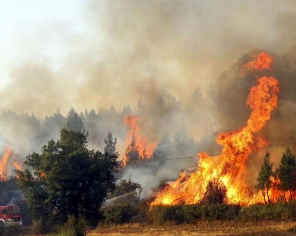 Alerta: Cerca de 150 concelhos de 14 distritos em risco máximo de incêndio. Aveiro em estado de alerta.