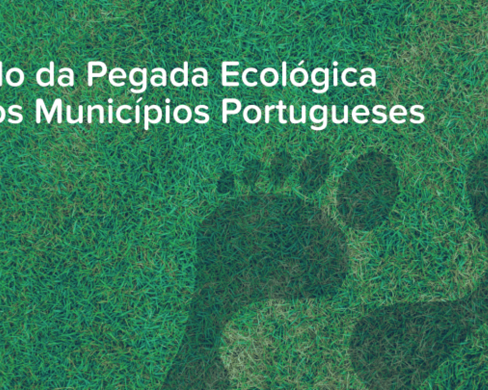 Municípios da Região passam a medir a pegada ecológica.