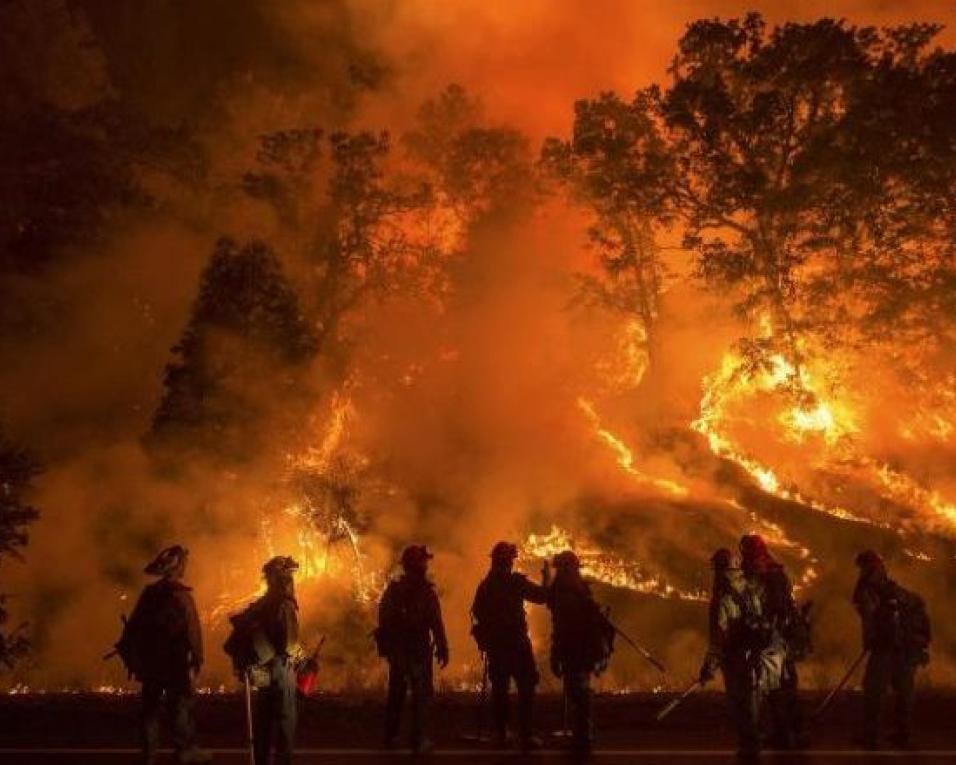 Risco máximo de incêndio em 40 Concelhos devido ao tempo quente.