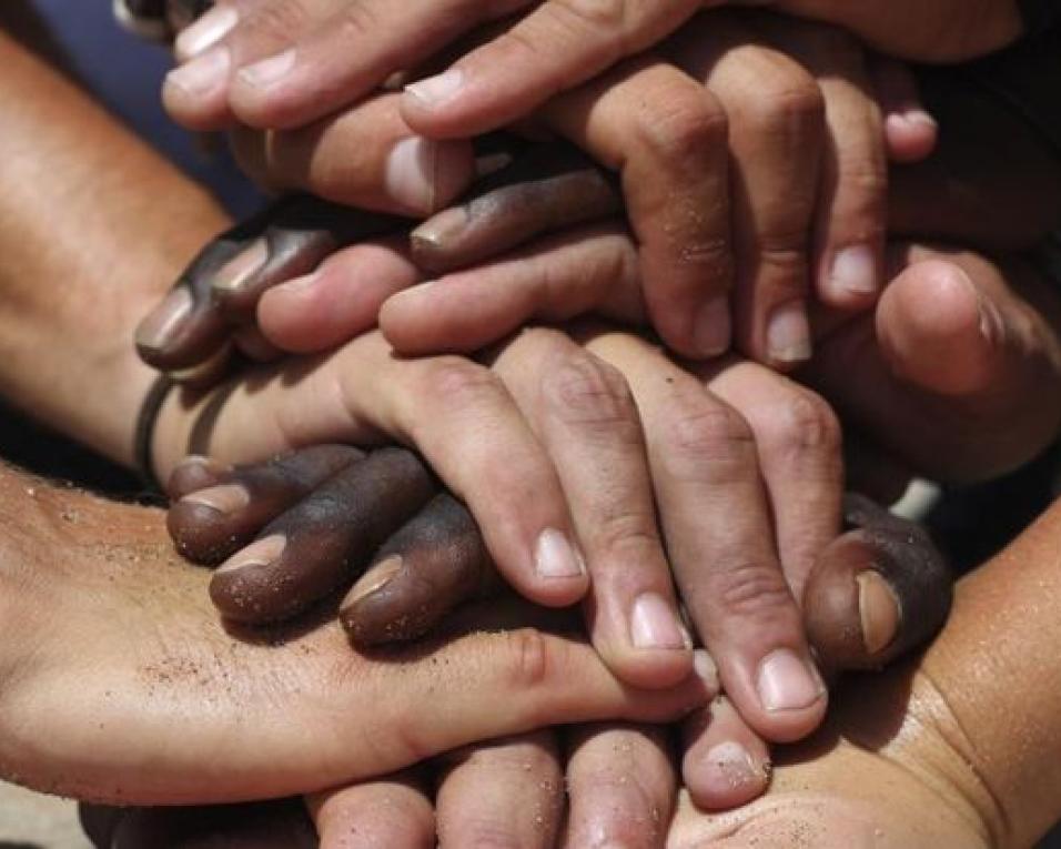 Dia Internacional do Voluntariado assinalado em Anadia.