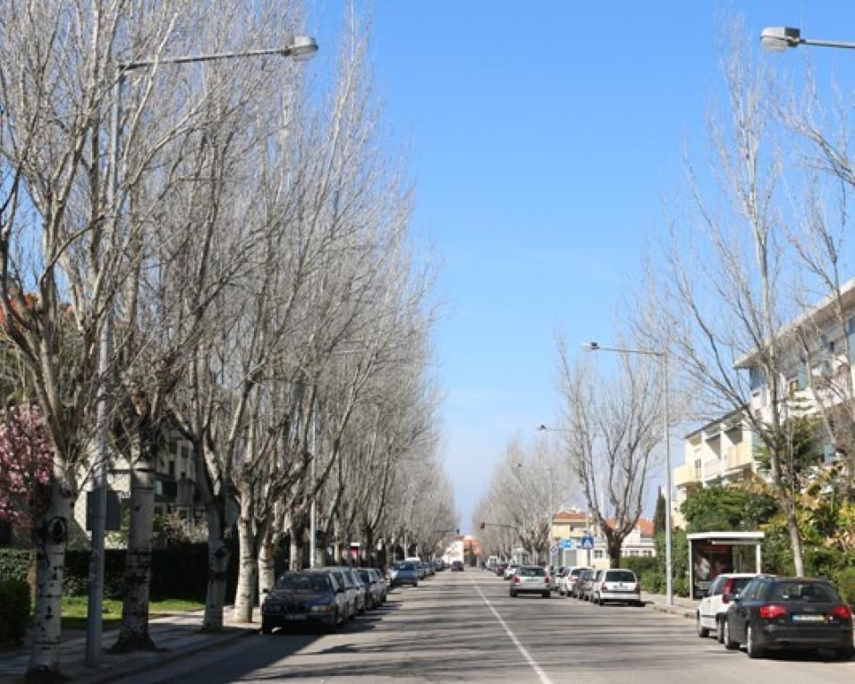 Câmara de Aveiro investe 45 mil euros na limpeza de 'paredes' no centro da cidade.