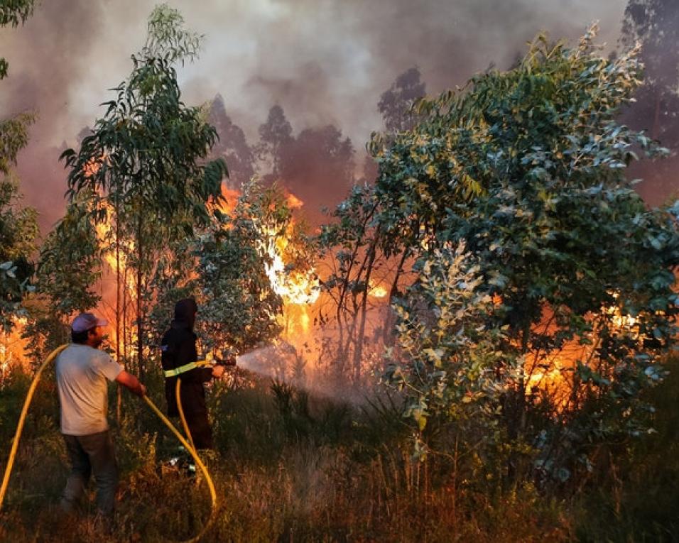 Incêndio de Albergaria está controlado.