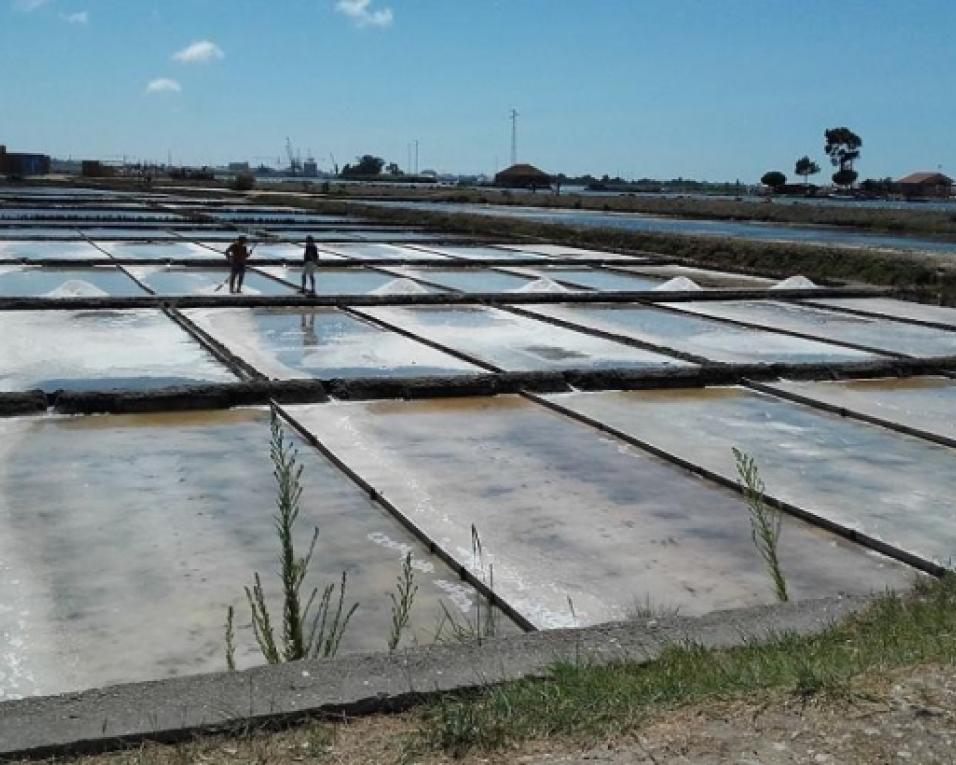 Festa da Botadela no Ecomuseu Marinha da Troncalhada (este sábado)