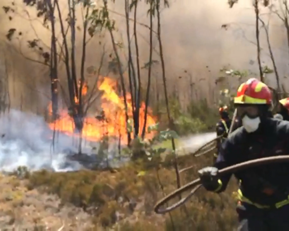 Vários fogos em floresta activos na região. (notícia actualizada)