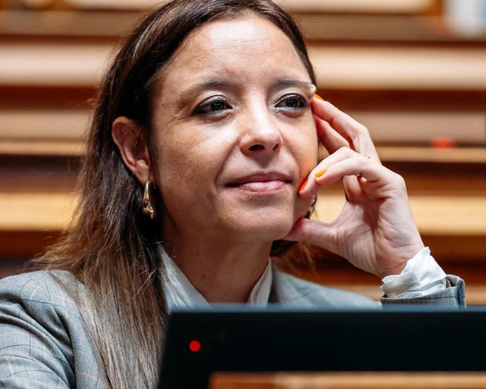 Adriana Rodrigues insiste na importância da ligação da Zona Industrial de Lordelo-Codal à A32.