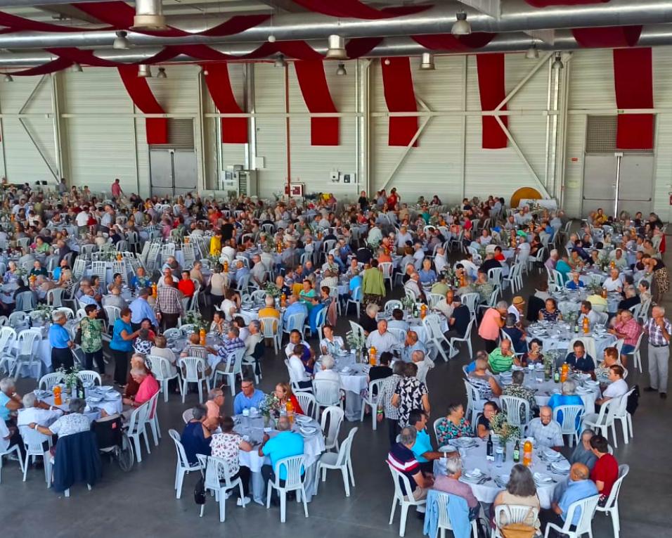seniores em almoco convivio em oliveira do bairro