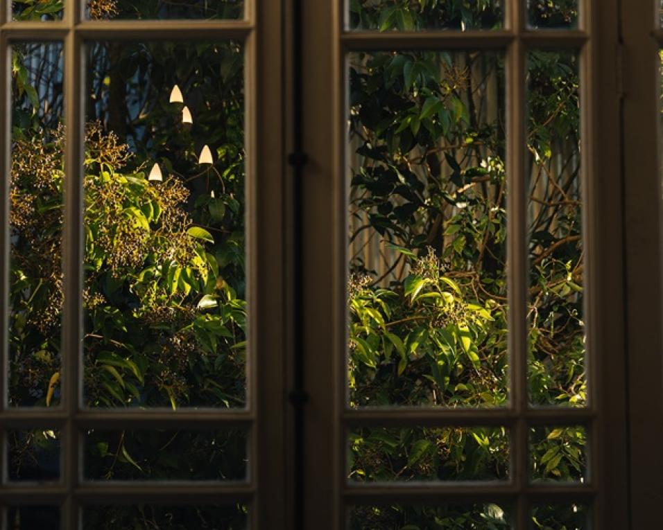 Ciclo “Flora na Casa” e exposição “Natureza e Arte Nova” na reabertura da Casa Dr. Lourenço Peixinho.