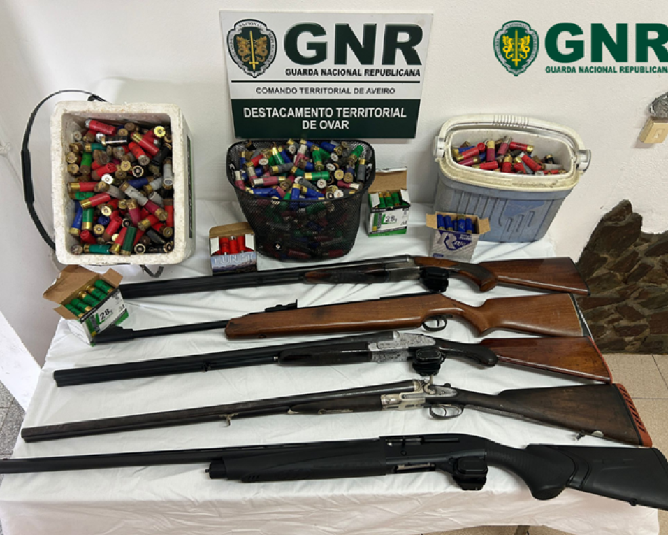 gnr apreende armas em processo de violencia domestica