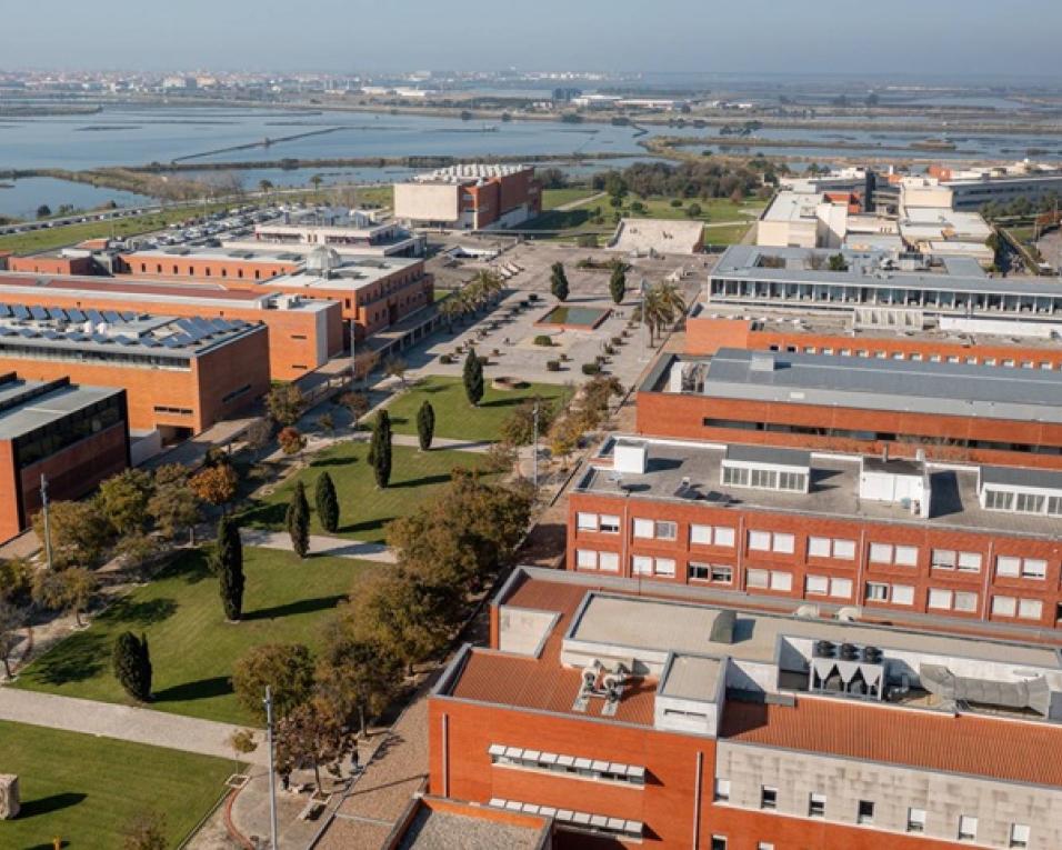 Universidade de Aveiro (UA) recebe o 1º encontro nacional dos Centros Locais de Apoio à Integração de Migrantes (CLAIM) de instituições de ensino superior.