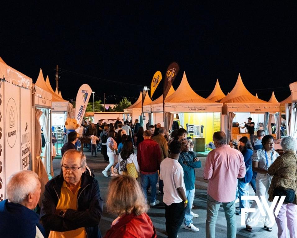 feira da vinha em formato alargado em 2026