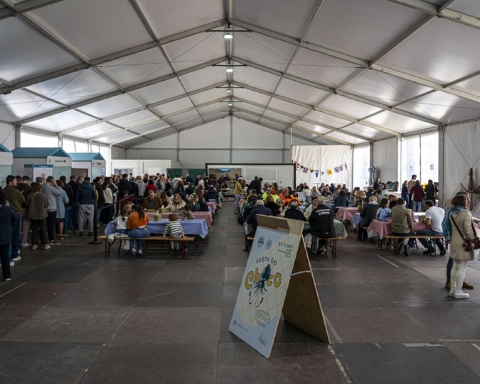 uma tonelada de choco consumida na primeira festa do choco