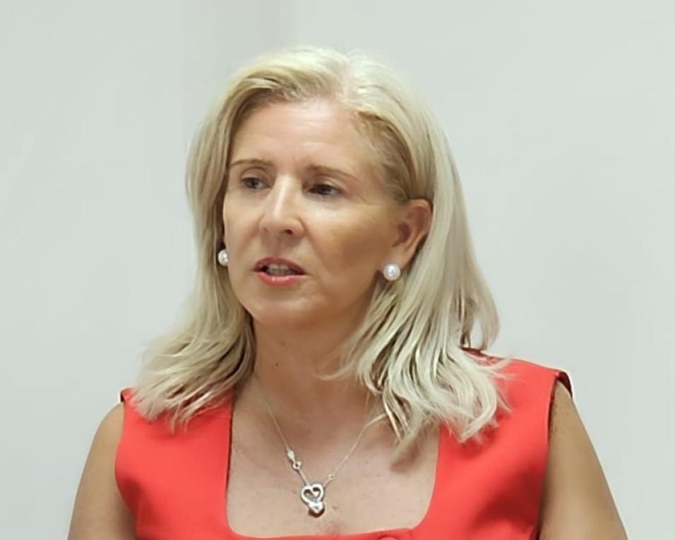 opiniao sobre papel das assembleias de freguesia