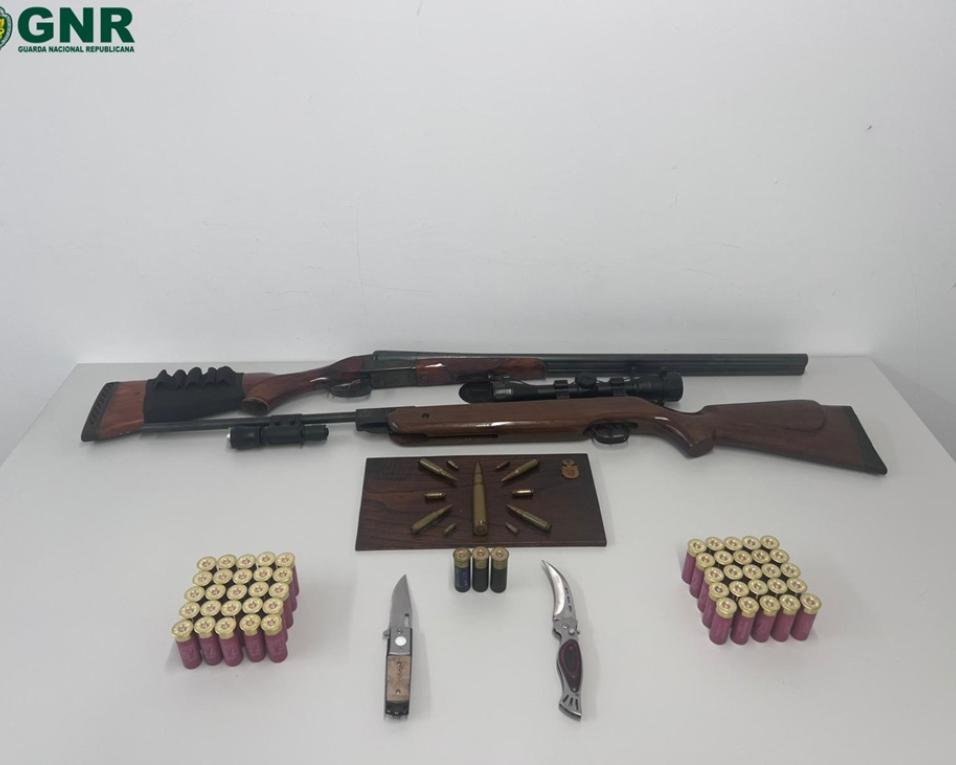 gnr apreende armas em processo de violencia domestica