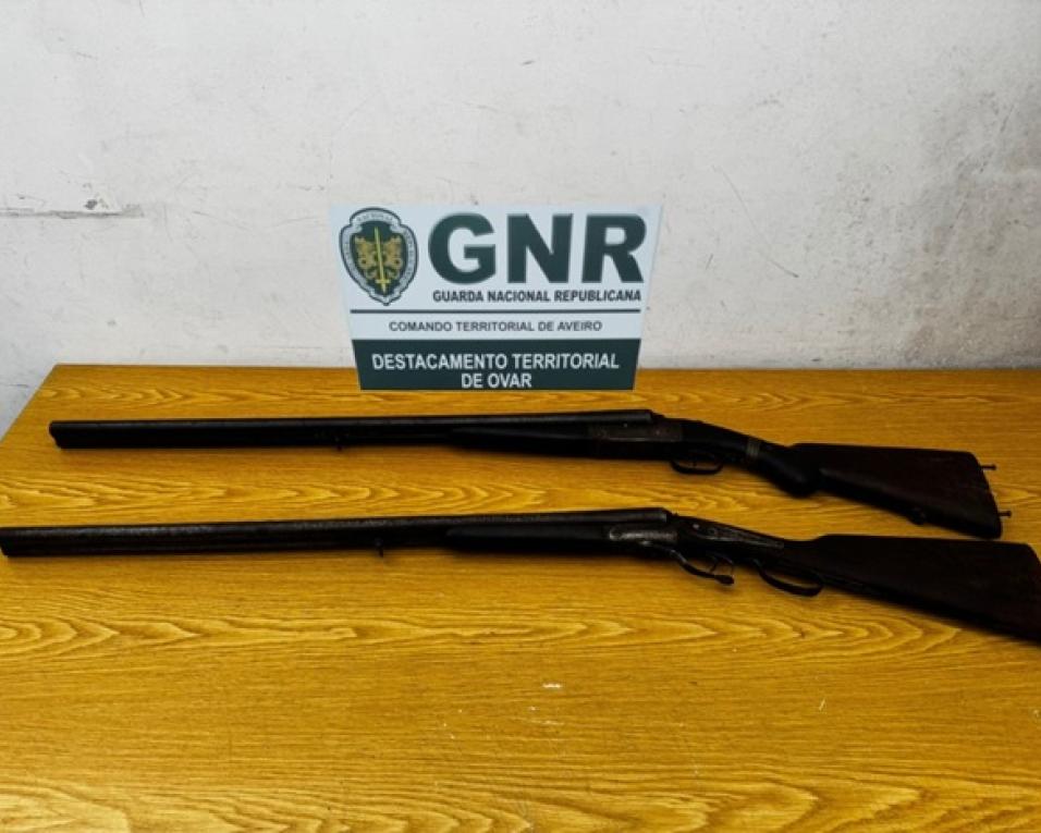 gnr apreende armas em processo de violencia domestica