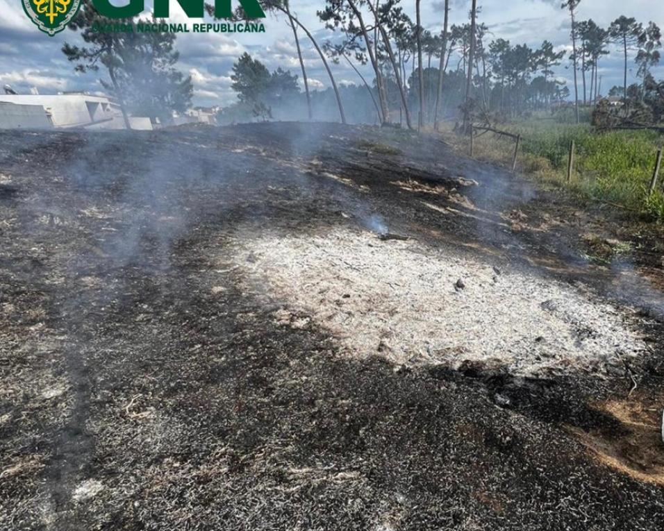 gnr da murtosa deteve idoso por queimada não autorizada