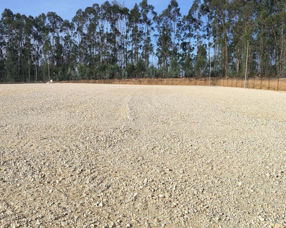 Anadia avança para a criação de um Ecocentro Florestal.