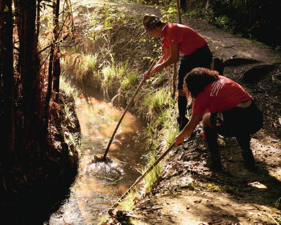 aldeia do boco em jornada de acao ambiental