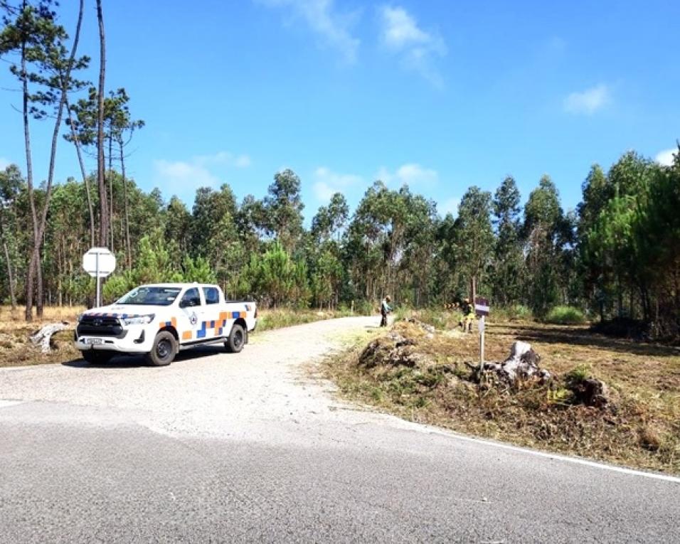 Aveiro investe na melhoria da rede viária florestal