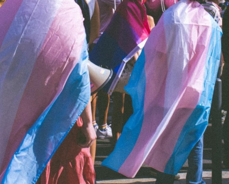 Marcha do Orgulho LGBTQIAPN+ assina texto contra alteração à lei da autodeterminação de género