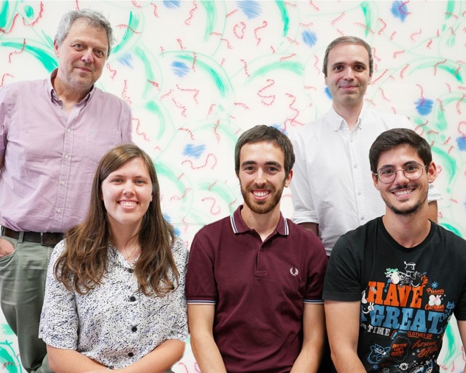 Equipa da UA desenvolve tecnologia celular para criar nova classe de materiais vivos