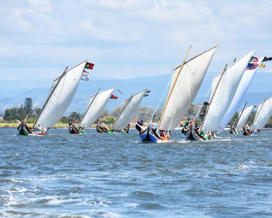 epoca de regatas de moliceiros abre este domingo