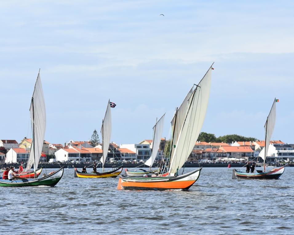 regata de bateiras a vela no sao paio