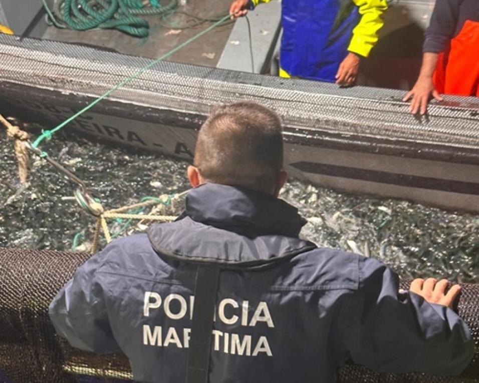 policia maritima fiscaliza pesca da sardinha