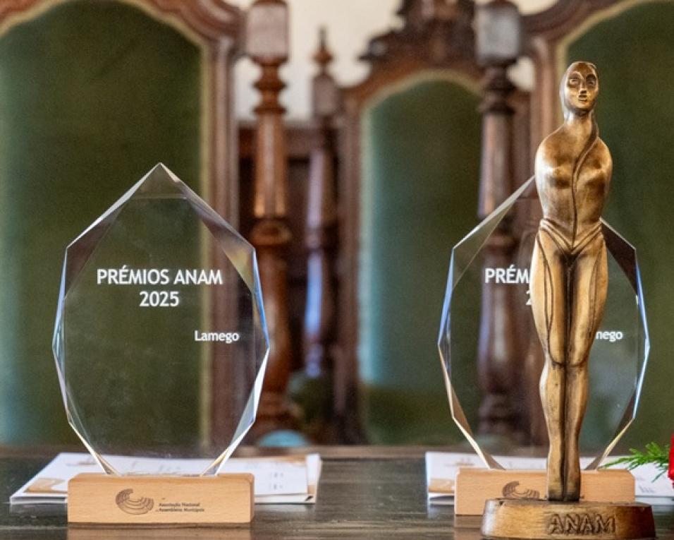 ANAM distingue boas práticas e iniciativas que reforçam a democracia local.