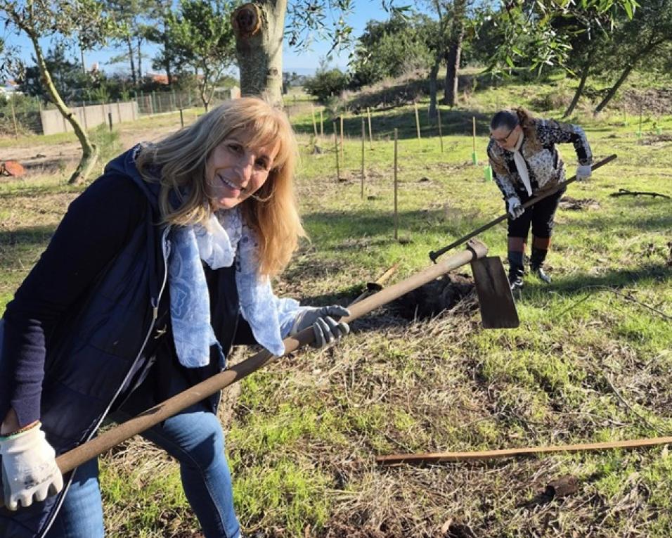 maior idade estreia feira ambiental