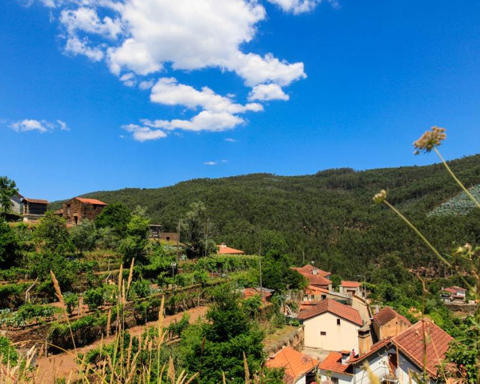 Associação para a Promoção da Aldeia de Vilarinho de S. Roque realiza convívio comunitário.