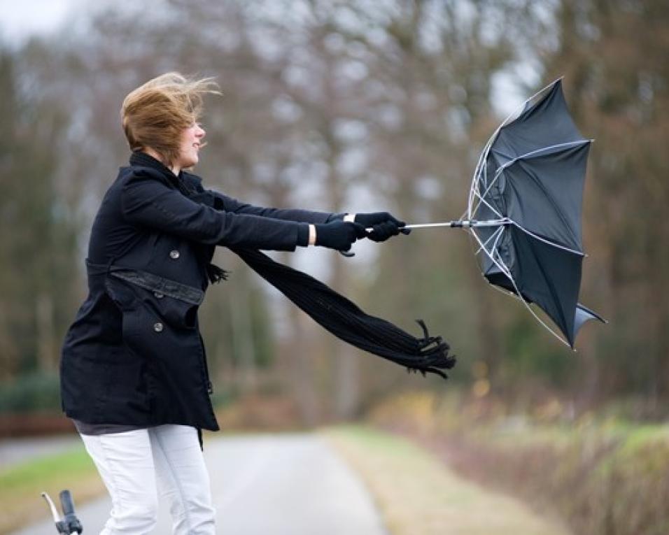 Mau Tempo: Muita chuva e ventos muito fortes nas próximas 48 horas, alerta Proteção Civil.