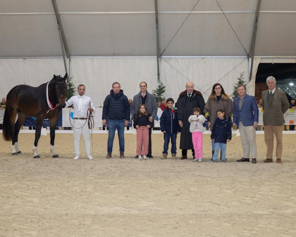 camara de aveiro faz balanco a agrovouga