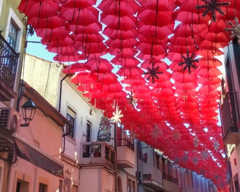 Águeda inaugura iluminações de Natal.