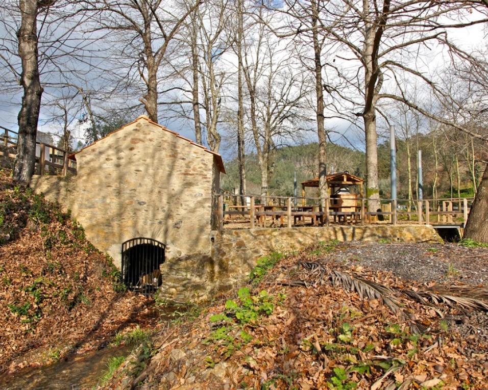 Albergaria: Jornadas do Património com visitas às mamoas e à rota dos moinhos.