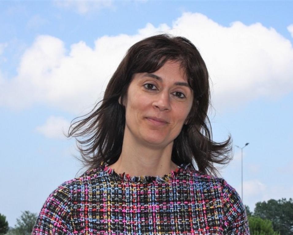 Investigadora da UA reflete sobre regresso às aulas e organização do calendário escolar.