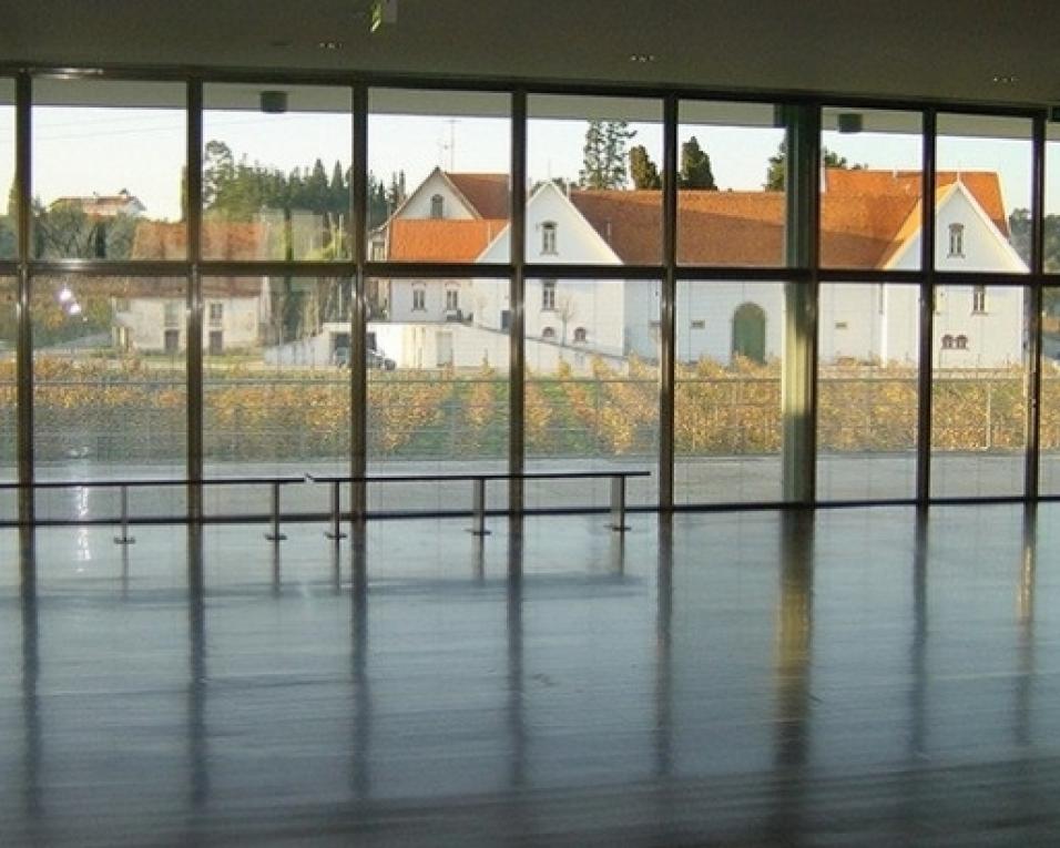 Museu do Vinho Bairrada inaugura exposição comemorativa do 20º aniversário.