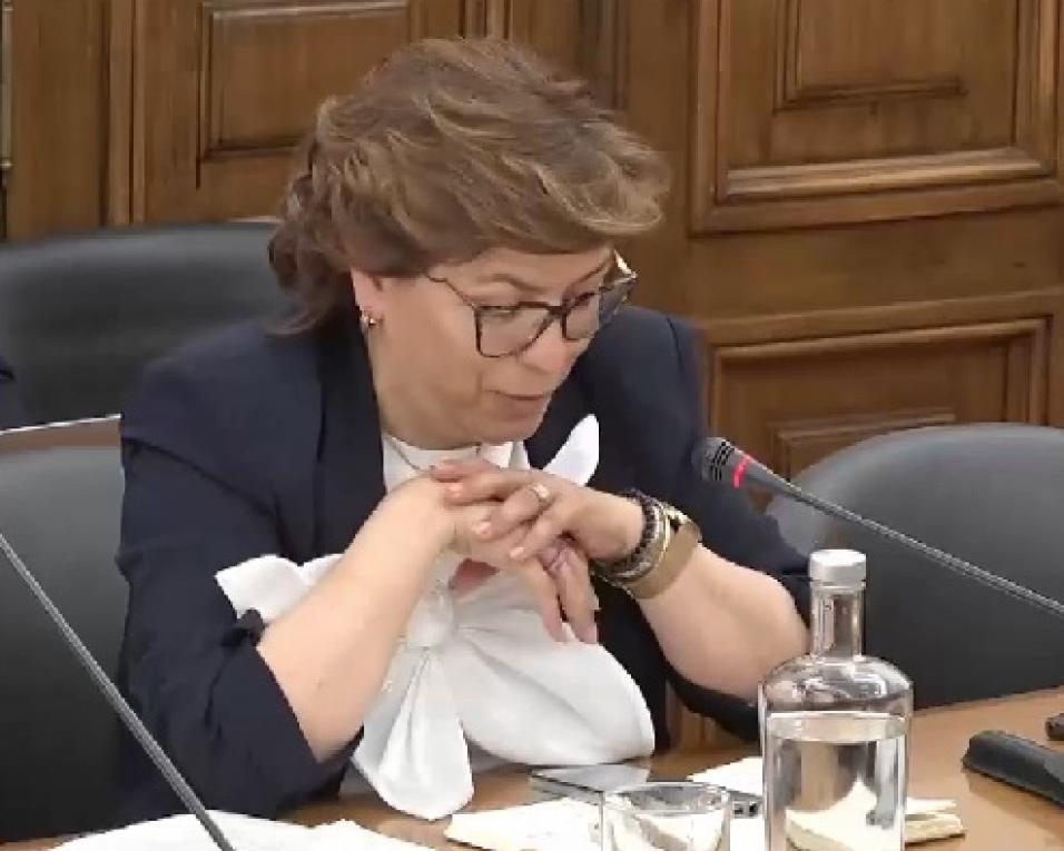 PSD mantem angela almeida na lista às legislativas