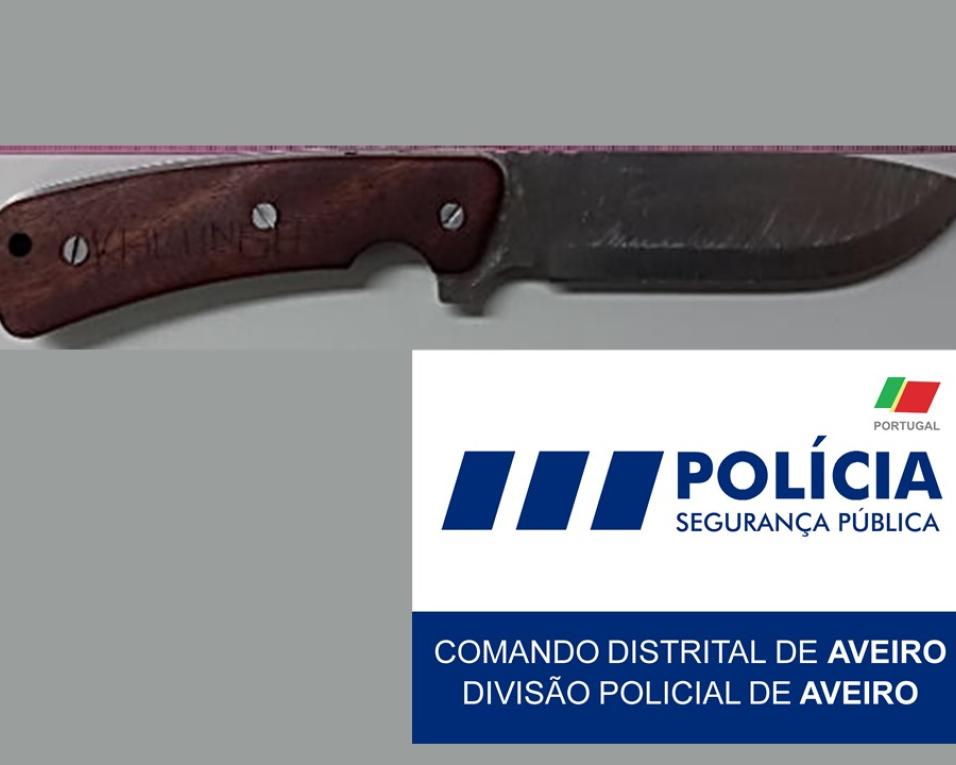 PSP: Detido por posse de arma proibida.