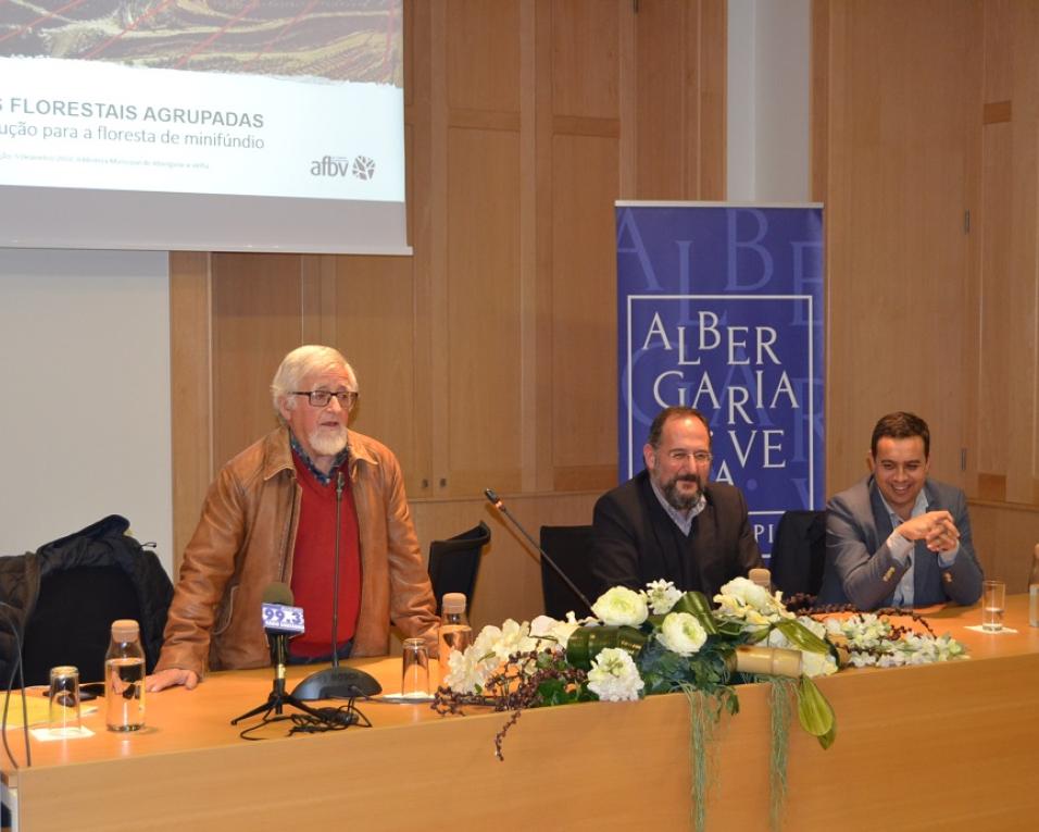 Não podemos brincar aos quintais, é preciso ganhar dimensão - Áreas florestais agrupadas. 