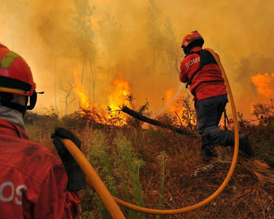 Fogo florestal em Avelãs de Caminho está controlado.