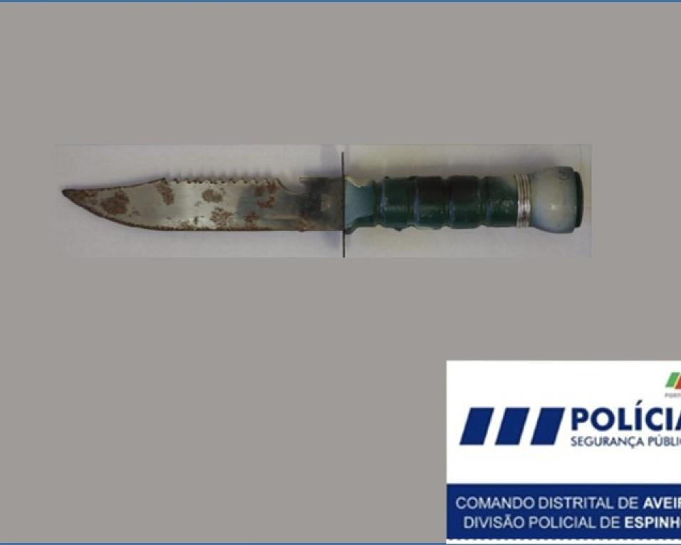 PSP deteve dois condutores em Aveiro e identificou dois indivíduos por posse de arma proibida.