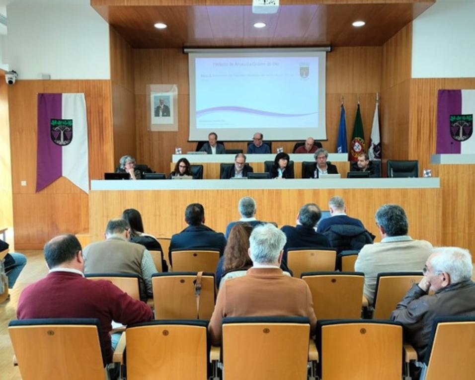 assembleia municipal de anadia aprova contas de 2024