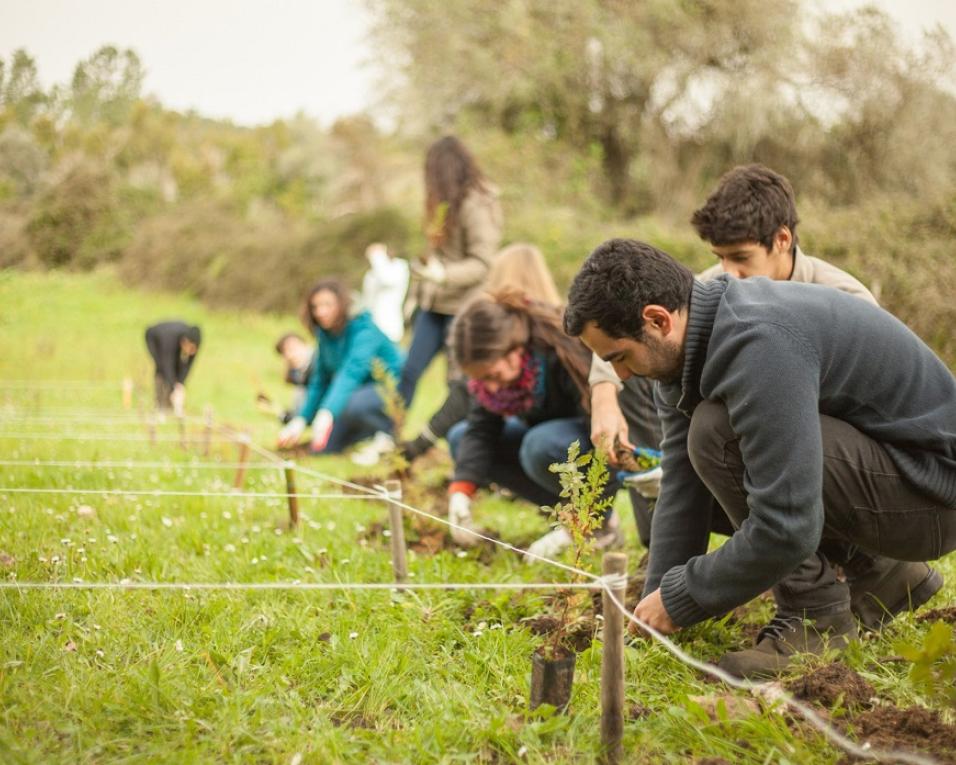 Albergaria: Frossos acolhe biofórum.