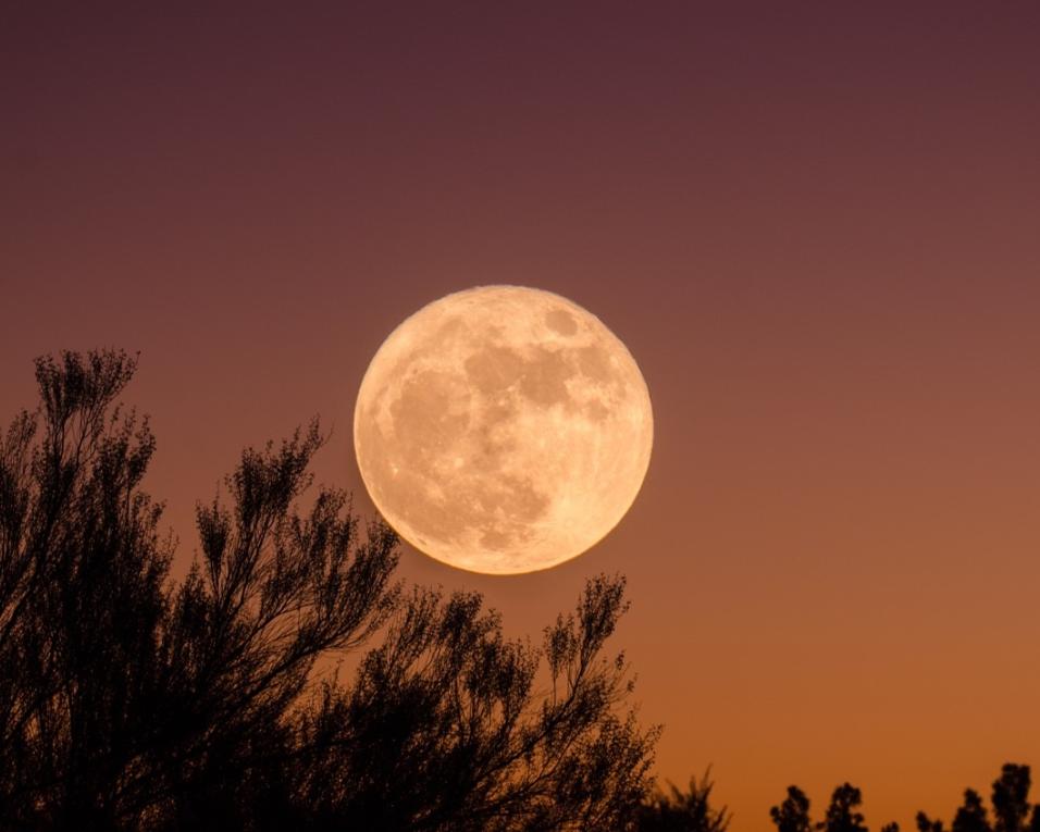 Albergaria-a-Velha recebe sessão de Astronomia.