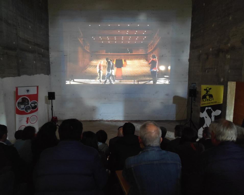 Festival de Cinema de Avanca arranca esta quarta.