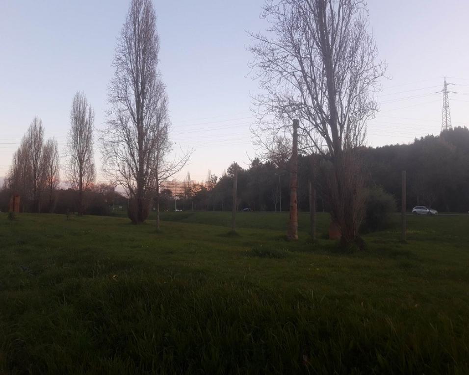 Aveiro apresenta projeto base de recuperação da bacia hidrográfica da Ribeira de Vilar.