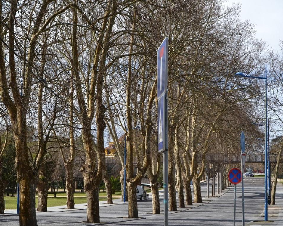 Aveiro: Autarquia anuncia obra na baia de estacionamento da avenida Artur Ravara.